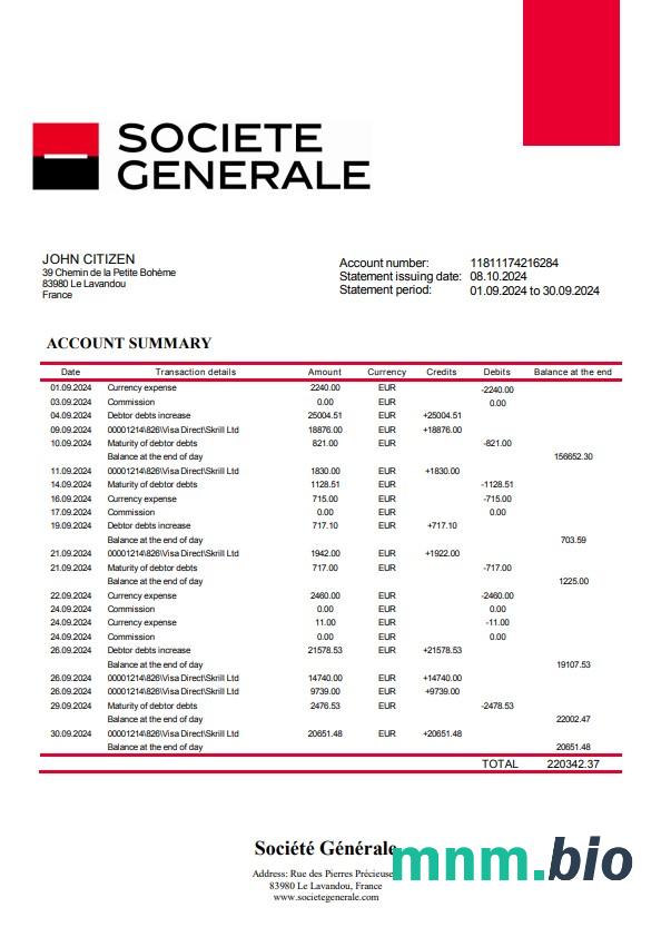 Francja Nsia Banque oświadczenie słowo i szablon PDF, 4 strony